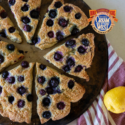 BLUEBERRY LEMON SCONES