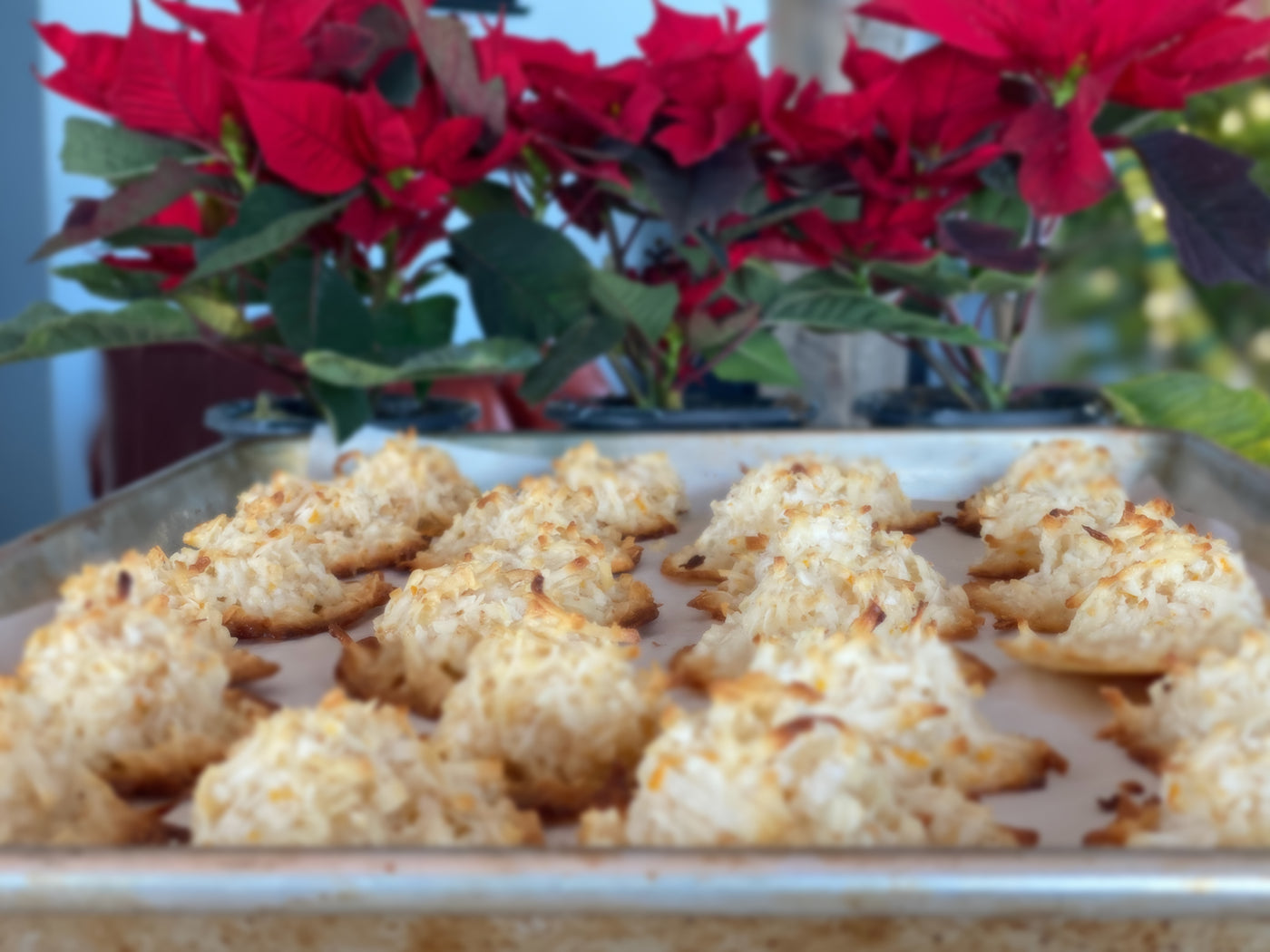 Cream of the West Coconut Macaroons